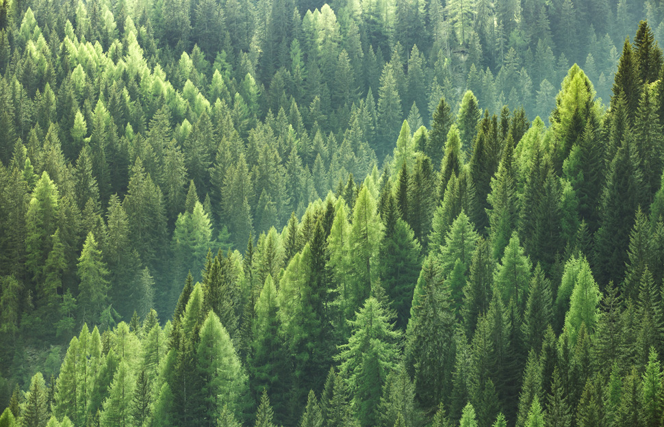 04 qualita attenzione ambiente